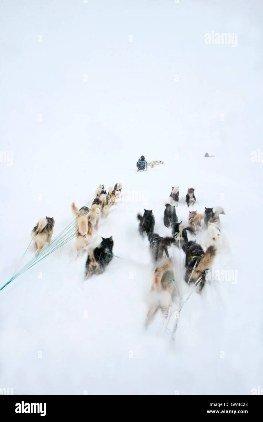 Kulusuk. Grönland. Stockfoto