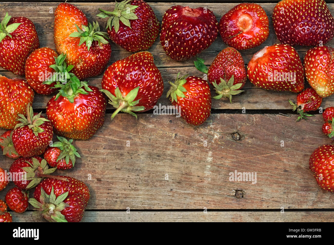 Erdbeeren auf einem groben hölzernen Hintergrund. Stockfoto