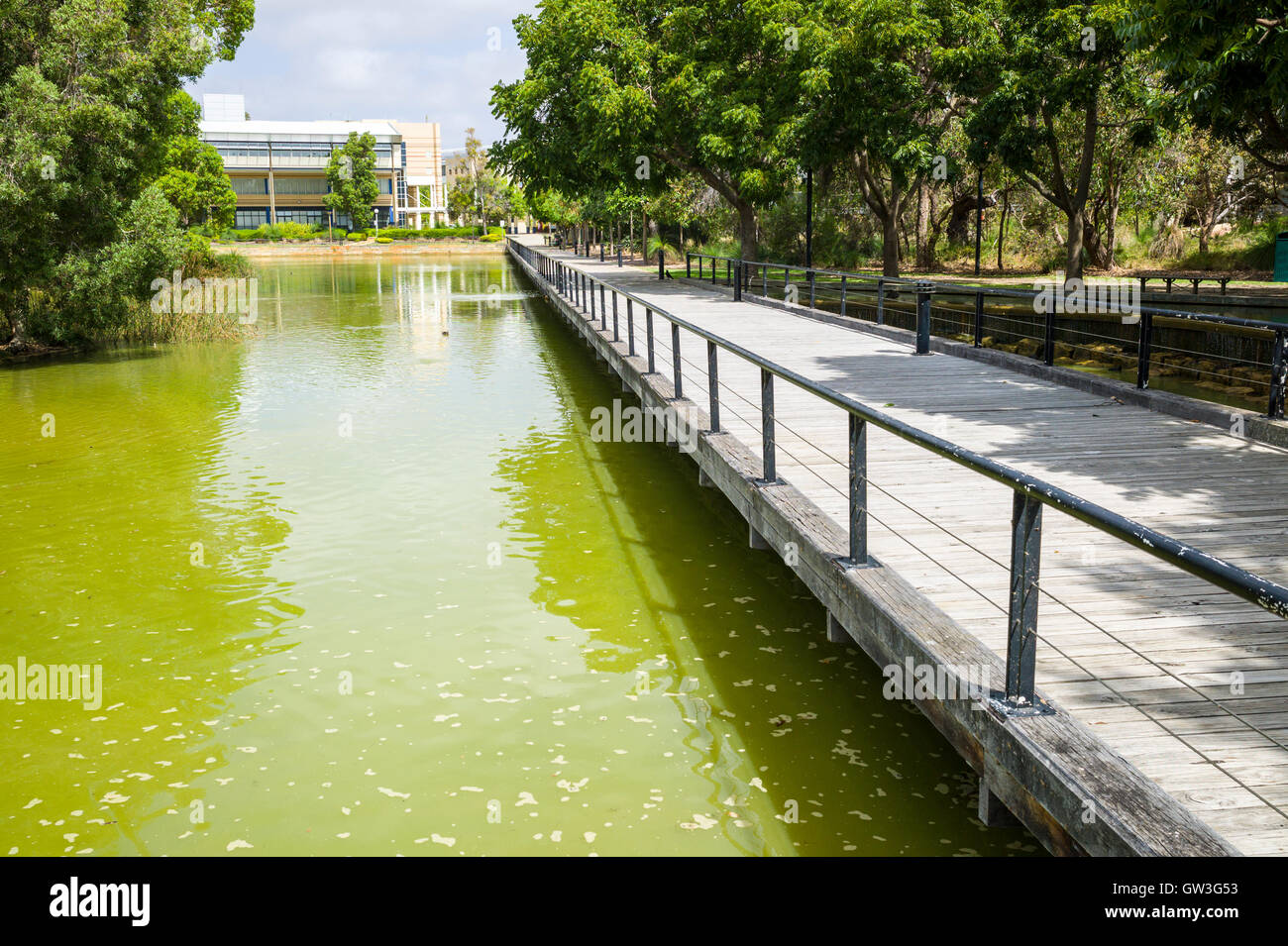Parks Gärten und Spazierwege in Joondalup Western Australia Stockfoto