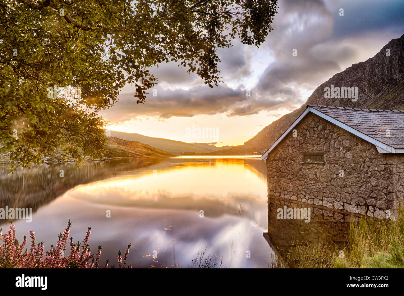 Blick auf Llyn Ogwen See bei Sonnenaufgang mit Blu Sky. Haus im See und Baum. Stockfoto