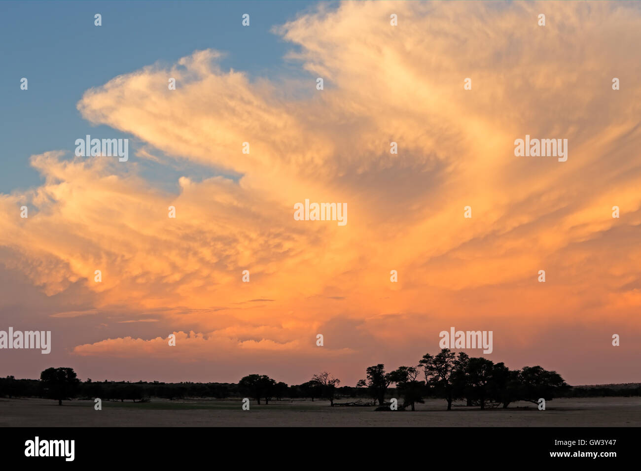 Dramatische späten Nachmittag Wolkengebilde über der Kalahari-Wüste, Südafrika Stockfoto