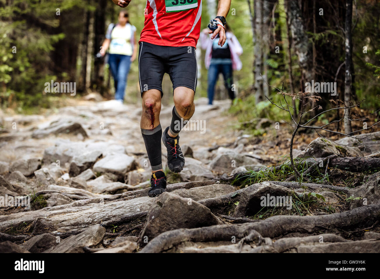 Führer-Marathon-Läufer im Wald über Felsen und Baumwurzeln ausgeführt. Knie im Blut Stockfoto