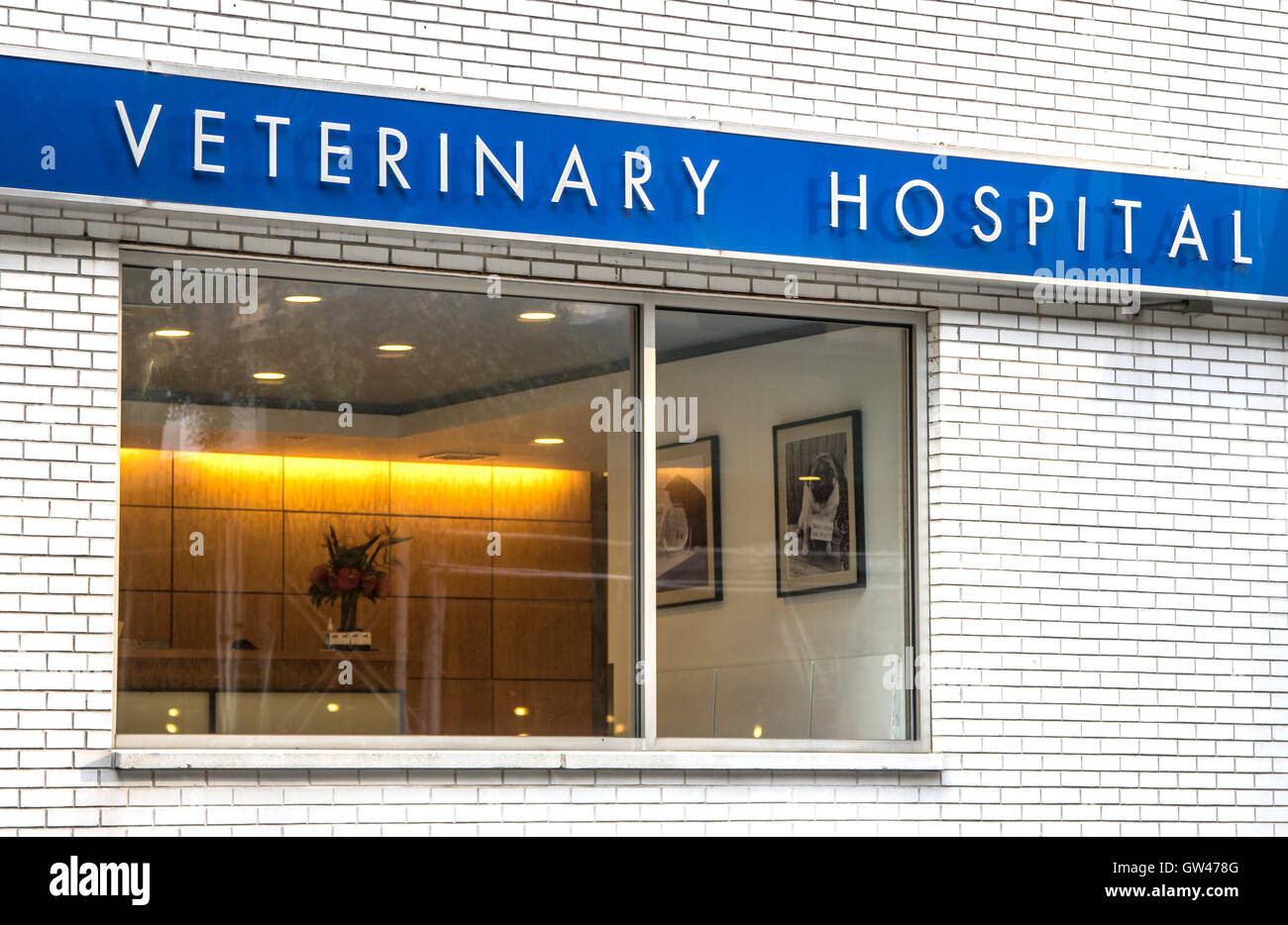 Tierklinik Stockfoto