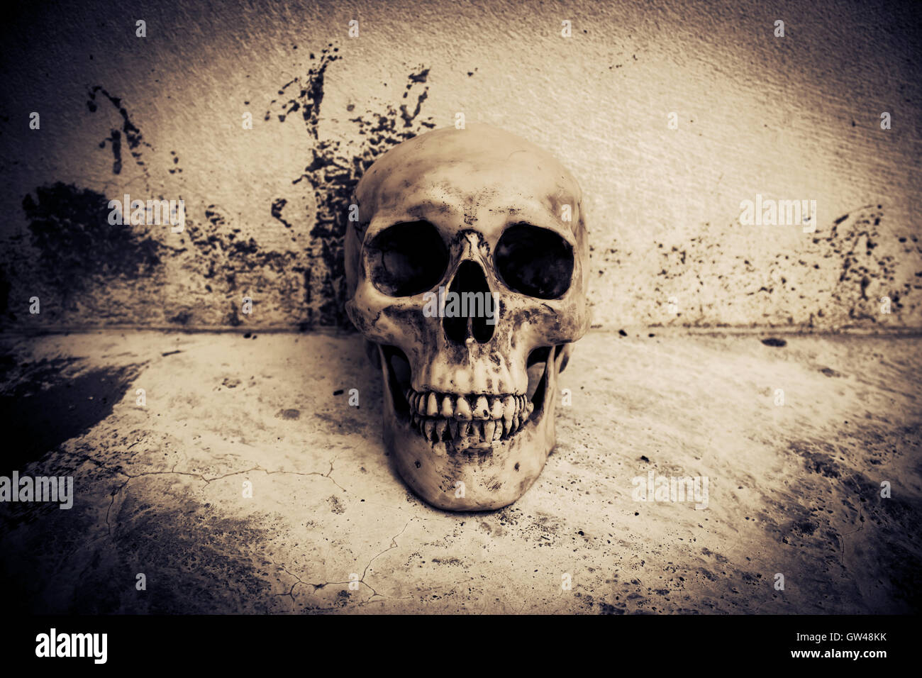 Menschlicher Schädel auf Ruinen, grauen Hintergrund für Halloween und Film Posterprojekt Concept Stockfoto