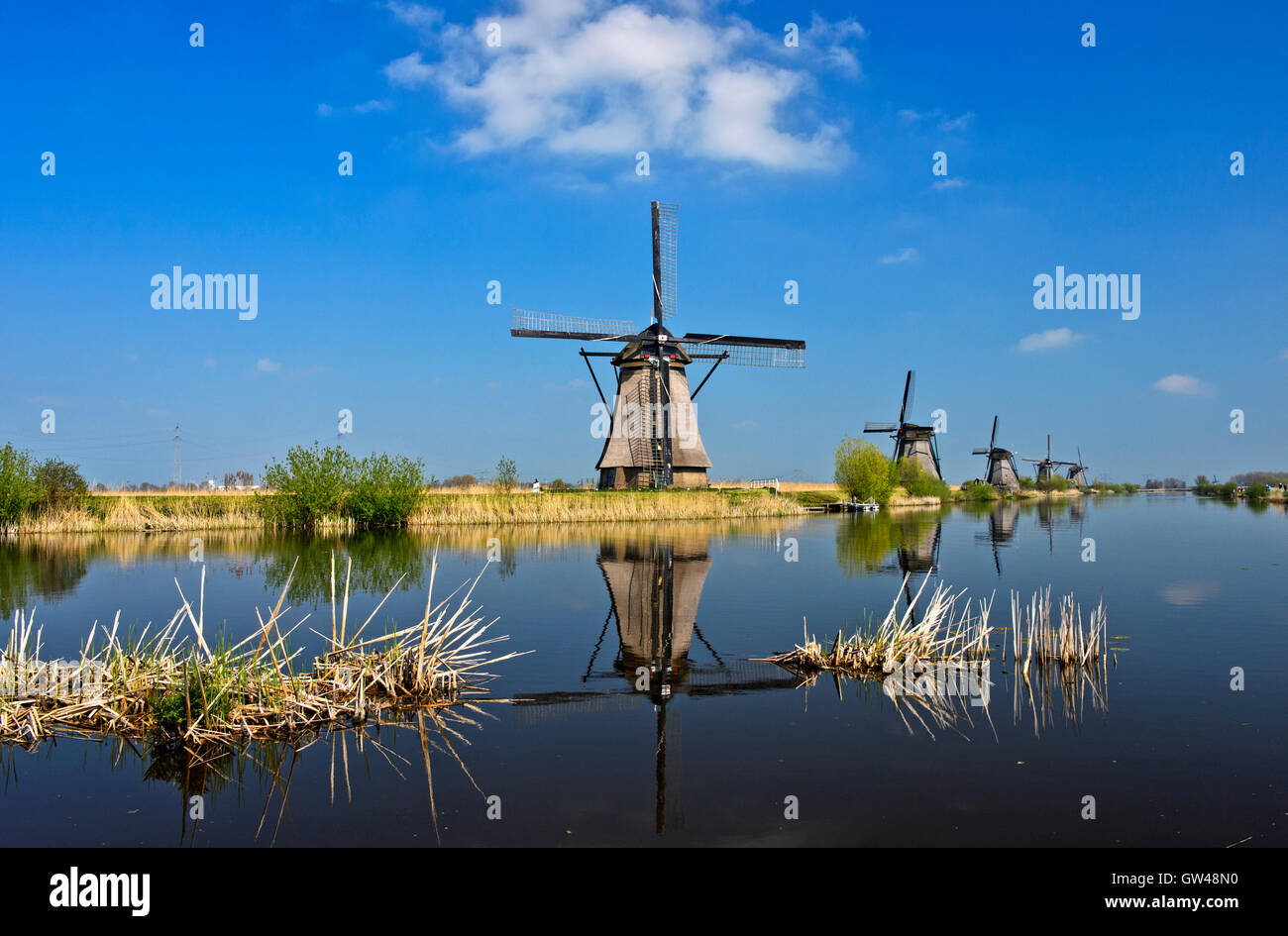 Holländische Windmühlen an einem Kanal, Kinderdijk, Ausflüge Polder, Südholland, Niederlande Stockfoto