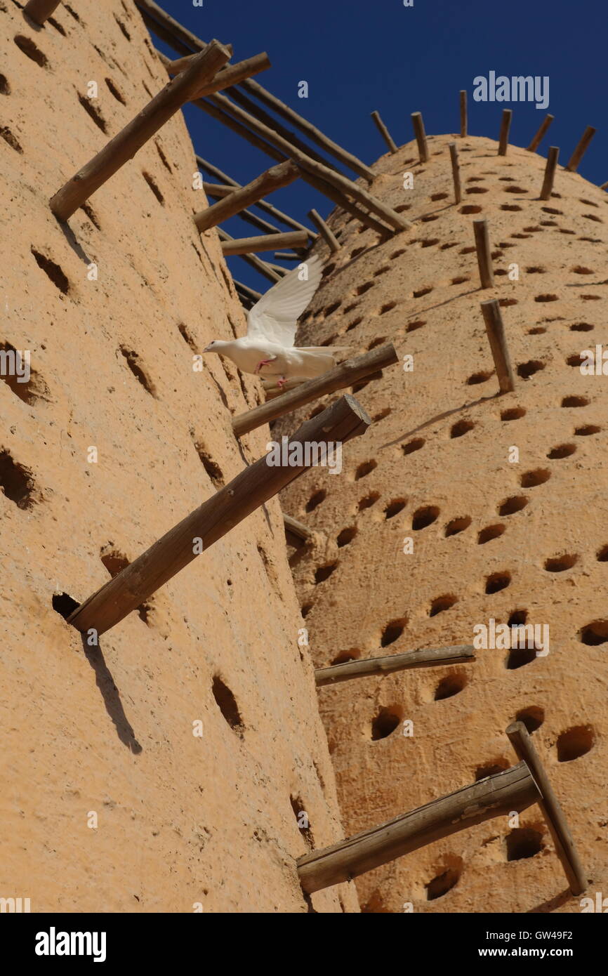 Taube-lofts, Taube Türme, Katara Cultural Village, Doha, Katar Stockfoto