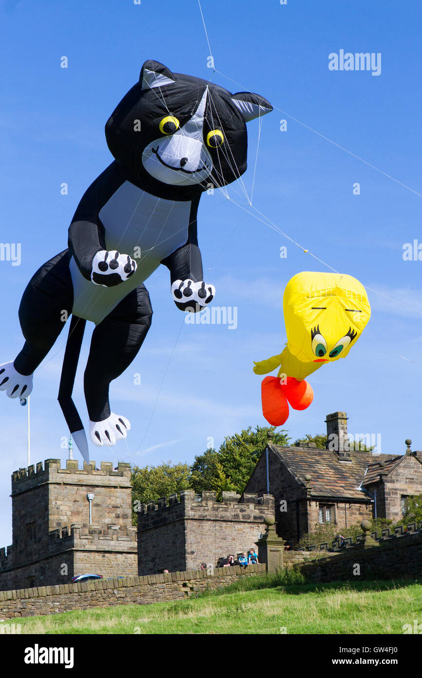 Preston, UK. 11. September 2016. Der Hoghton Tower Kite Festival findet über die berühmte Burg Türme wie riesige Drachen in die Luft gehen. Zwei & vier Leitungen Lenkdrachen mit einem Riesenkraken und "Sylvester & Tweety Pie" flog anmutig in der Sonne, wie die Kinder staunend zusahen. Dieses Ereignis zog hunderte von Besuchern, die mit einem schönen warmen, sonnigen Tag zum Picknick auf dem Gelände gesegnet wurden und beobachten Sie die riesigen Hüpfburgen. Bildnachweis: Cernan Elias/Alamy Live-Nachrichten Stockfoto Preston, UK. 11. September 2016. Der Hoghton Tower Kite Festival findet über die berühmte Burg Türme wie riesige Drachen in die Luft gehen. Zwei & vier Leitungen Lenkdrachen mit einem Riesenkraken und "Sylvester & Tweety Pie" flog anmutig in der Sonne, wie die Kinder staunend zusahen. Dieses Ereignis zog hunderte von Besuchern, die mit einem schönen warmen, sonnigen Tag zum Picknick auf dem Gelände gesegnet wurden und beobachten Sie die riesigen Hüpfburgen. Bildnachweis: Cernan Elias/Alamy Live-Nachrichten Stockfoto