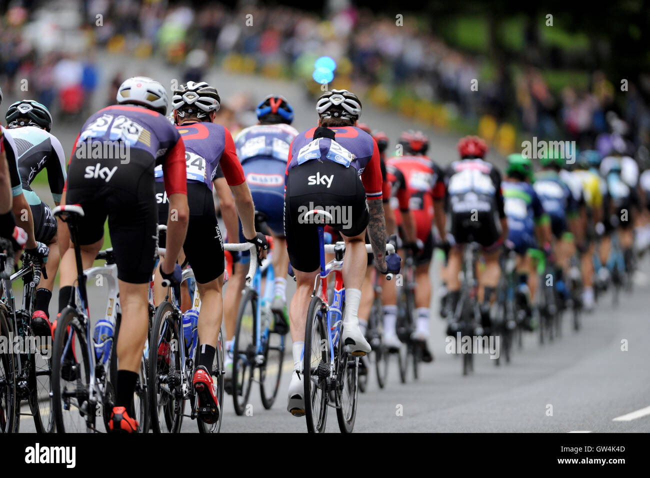 Bristol, UK, 10. September 2016. Die Tour of Britain, Stufe 7 b Bristol Rundkurs. Die Verfolgergruppe Hauptfeld, einschließlich Sir Bradley Wiggins Team Wiggins (Mitte erschossen 21) Schlange entlang Clifton unten gesäumt von großen Menschenmengen. Bildnachweis: David Partridge / Alamy Live News Stockfoto