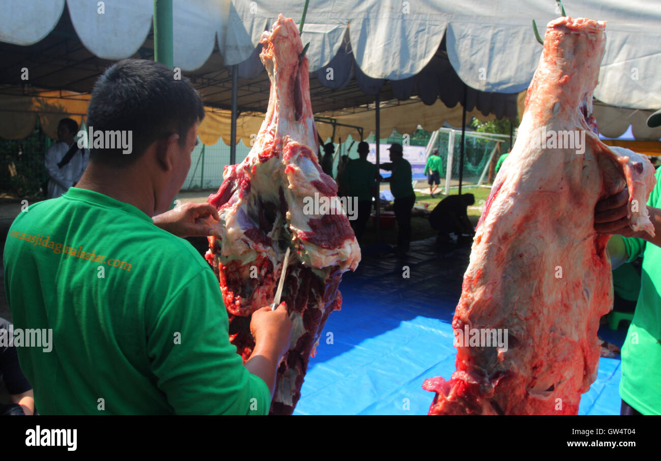 Jakarta, Jakarta, Indonesien. 12. Sep, 2016. Die schneiden Prozess Tieropfer Offiziere schneiden begleitet von Gesundheitspersonal und Familie Tierhalter, die Opfern zu tun. Bildnachweis: Denny Pohan/ZUMA Draht/Alamy Live-Nachrichten Stockfoto