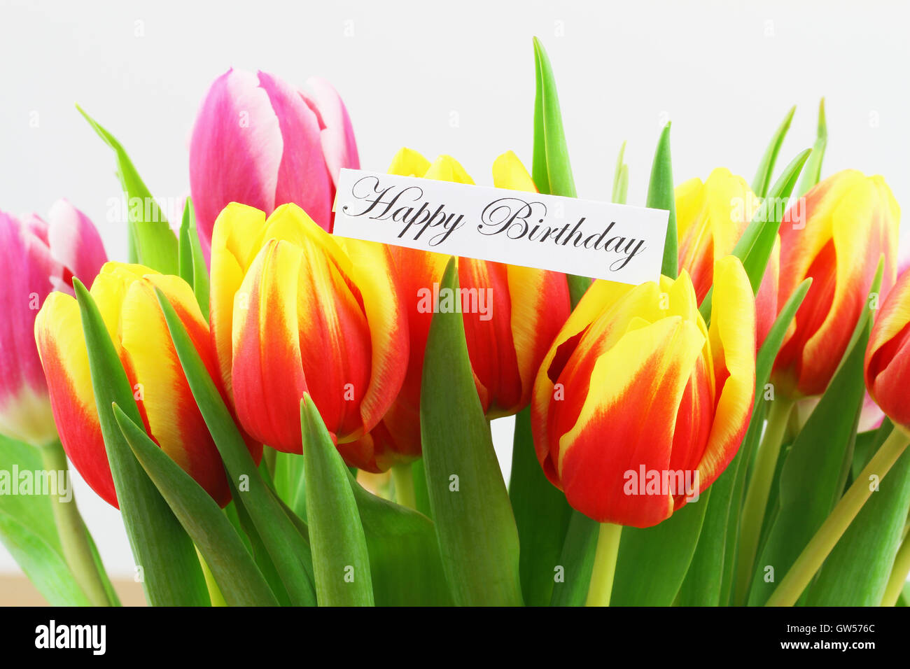 Glücklich Geburtstagskarte mit Hintergrund der bunte Tulpen
