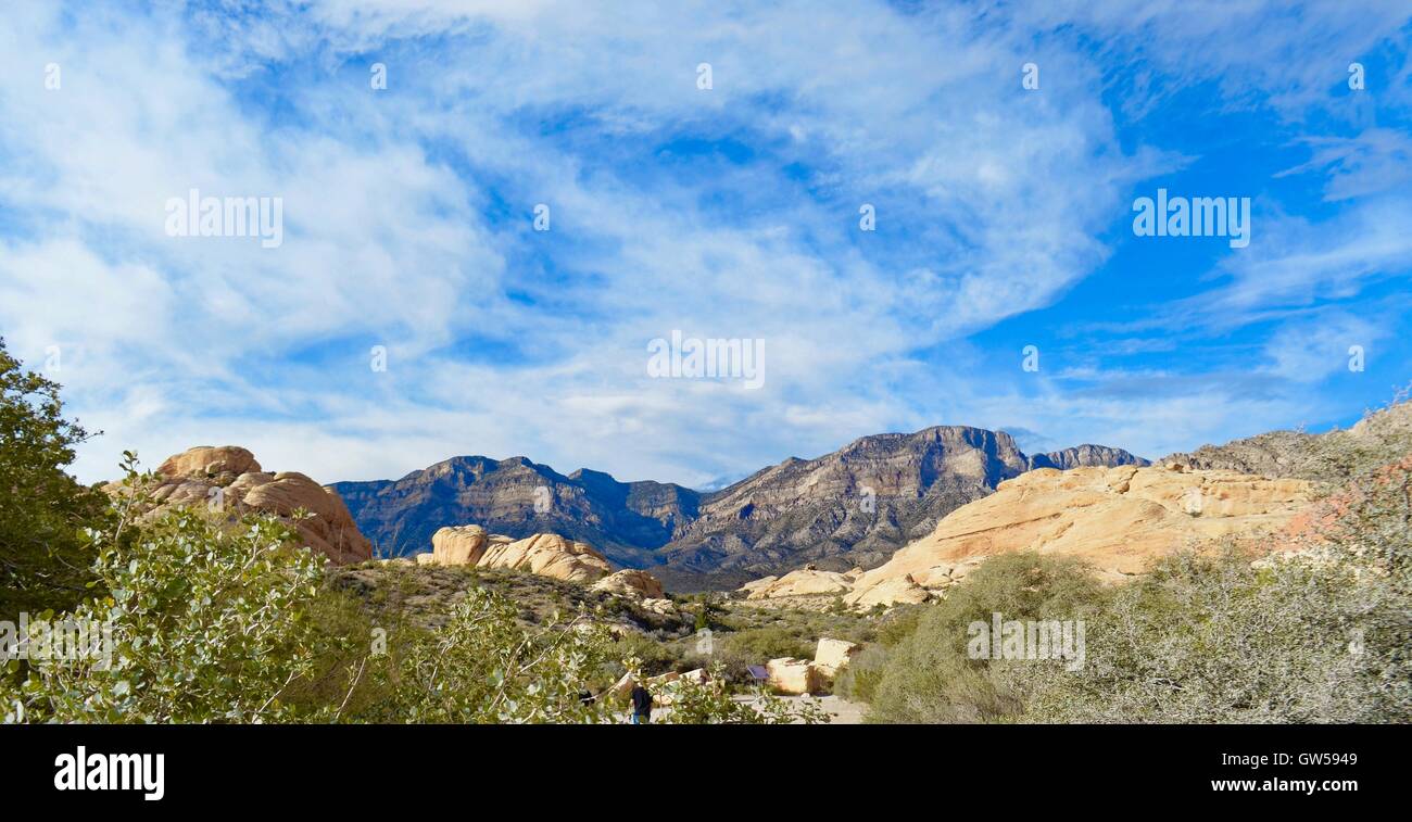 Szene im Red Rock Canyon Stockfoto
