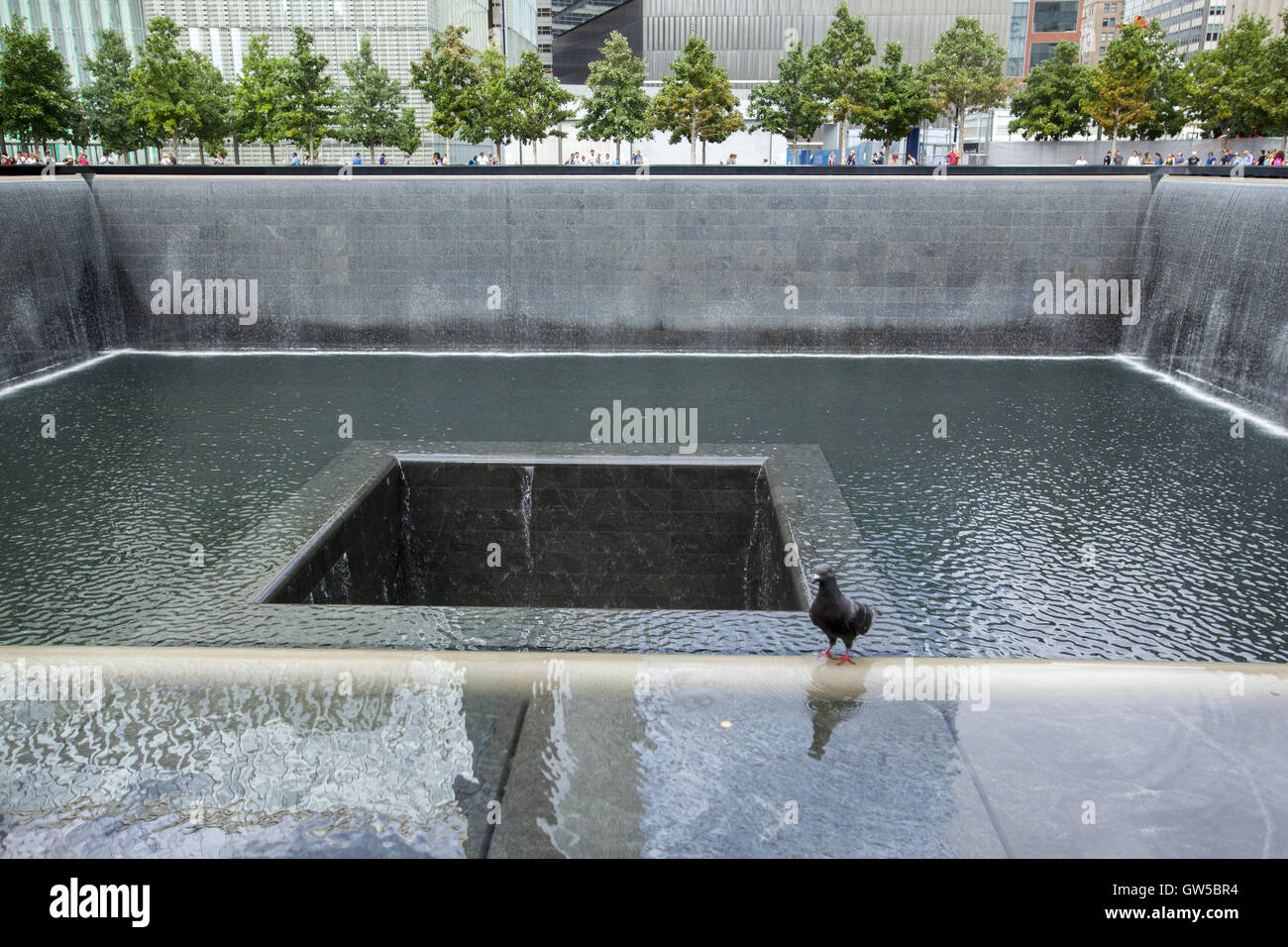 Norden Widerspiegelnder Teich an der 9/11-Gedenkstätte in Manhattan. Stockfoto