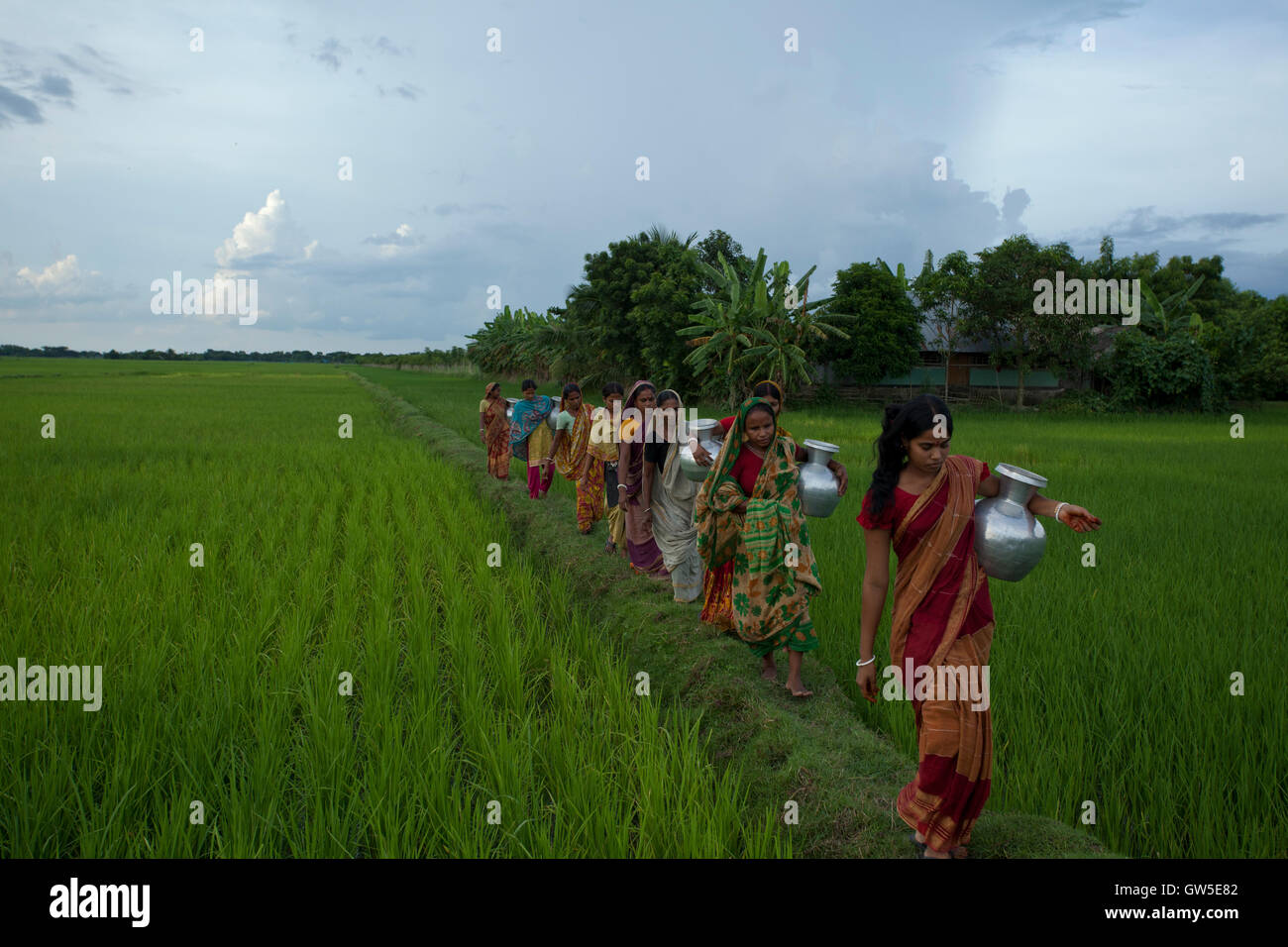 Eine Gruppe von Frauen trägt Krug mit Süßwasser, die von einem entfernten Teich neben der Sundarbans, Dhangmari, Bagerhat, Bang sammeln Stockfoto