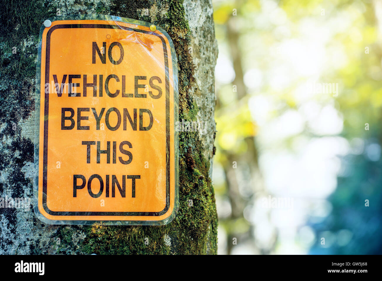 Keine Fahrzeuge über diesem Punkt-Zeichen angehängt an einen Baum in camping-zone Stockfoto