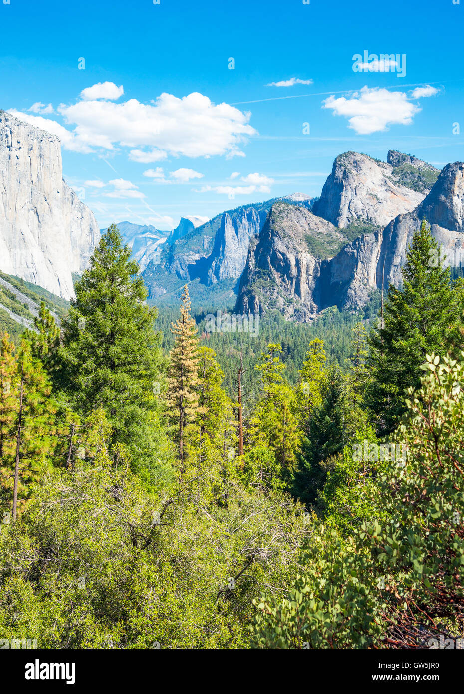 Yosemite Nationalpark, Kalifornien, Panoramablick über das Tal mit den El Capitan und die Türme der Kathedrale Berge Stockfoto