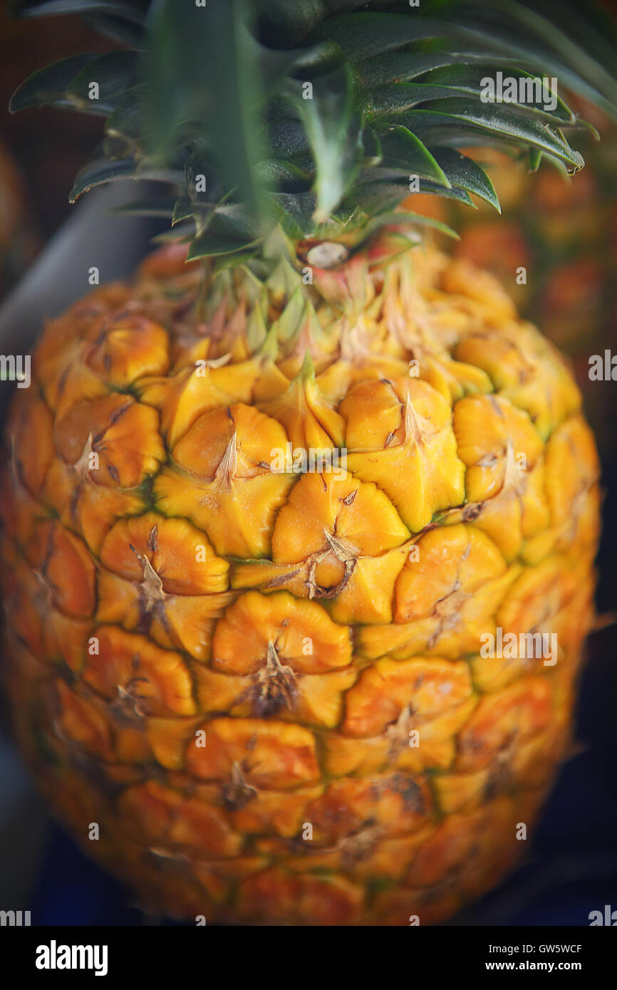 HILO, HAWAII - 13. Juli 2013: Frische Ananas zum Verkauf an der Hilo Bauernmarkt am 13. Juli 2013. Stockfoto