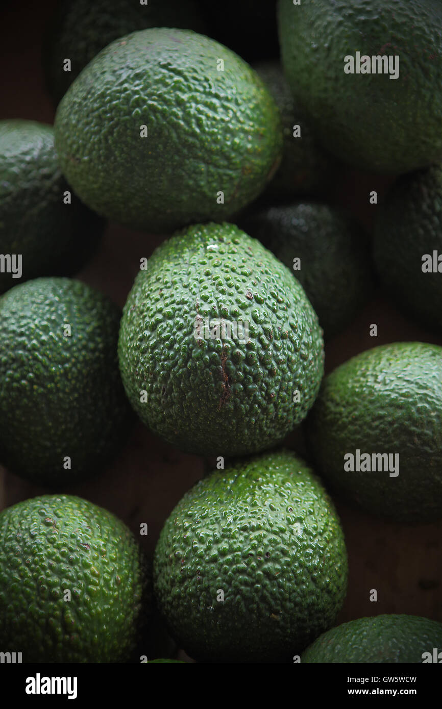 HILO, HAWAII - 13. Juli 2013: Frische Avocados zum Verkauf an der Hilo Bauernmarkt am 13. Juli 2013. Stockfoto