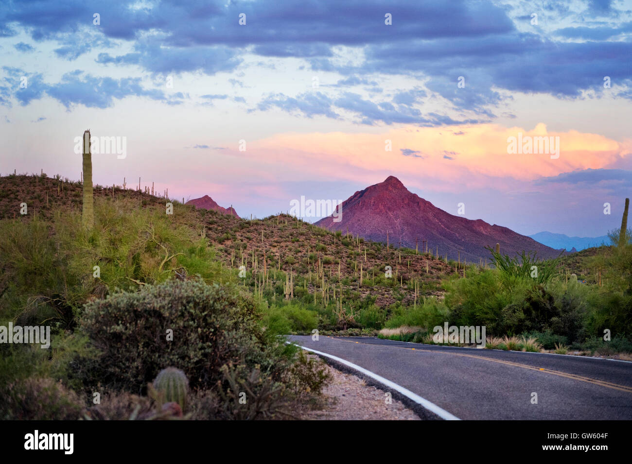 Tucson Arizona, Desert Highway Sonnenuntergang Stockfoto