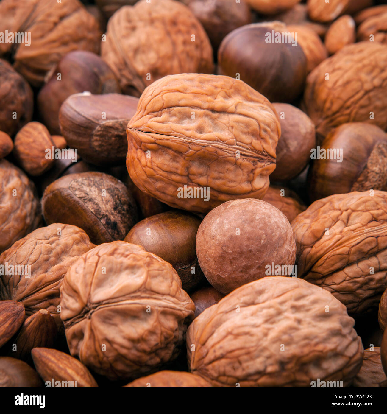Verschiedene Arten von Nüssen in Schalen, Cashew, Mandel, Walnuss, Haselnuss, Pistazien, Haselnüsse, Pecan und Macadamia. Stockfoto