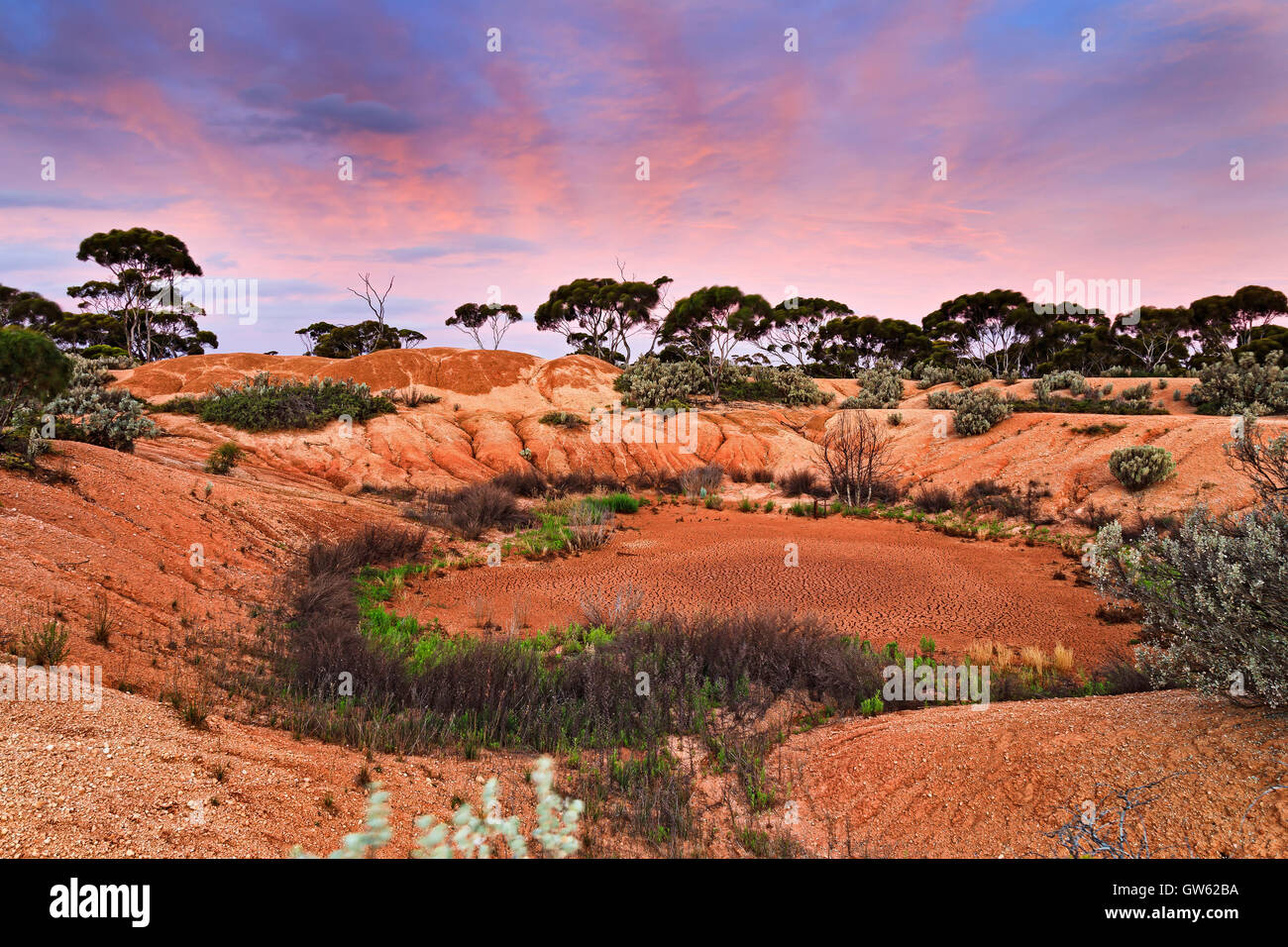 Getrocknete Wasser Pit von Billabong im entfernten westlichen australischen Outback in der Nähe von Belladonia Roadhouse. Rote Erde von entfernten Australien Stockfoto