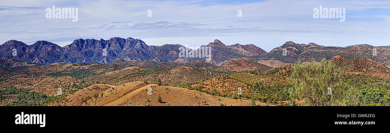 Wilpena Pound Felsformation im Flinders Ranges Nationalpark von Razorback Suche gesehen. Close-up breiten Panorama auf eine sonnige Summe Stockfoto