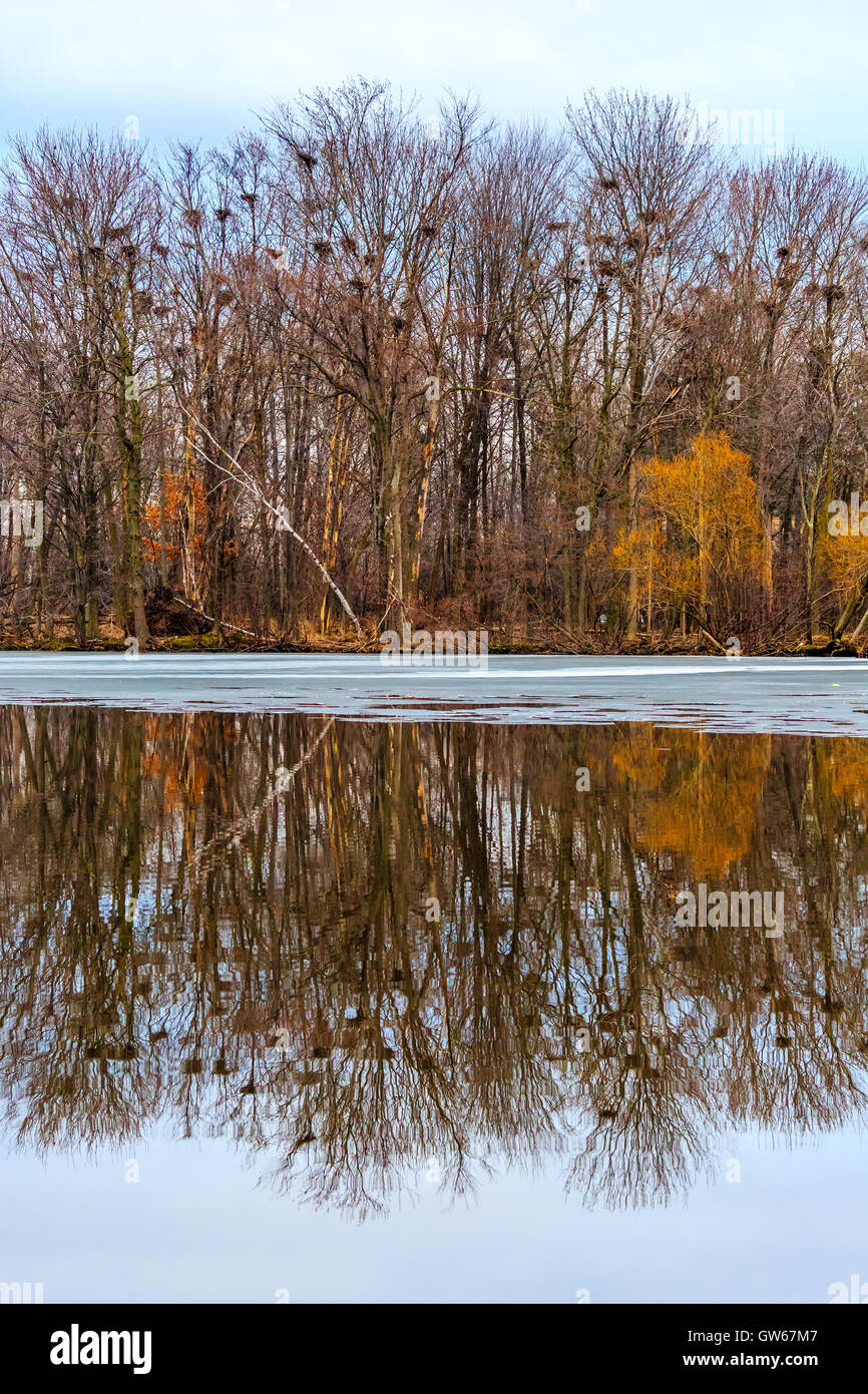 Ein Spiegelbild im See der Rookery Ansicht Park in Wausau, Wisconsin. Stockfoto