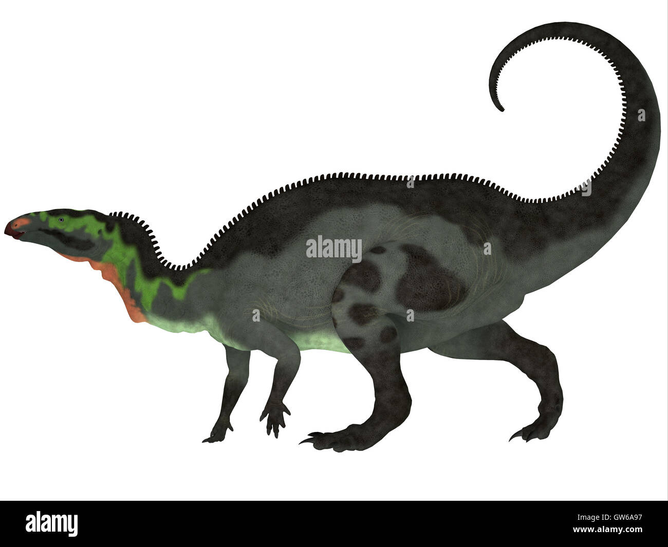 Camptosaurus Profil Stockfoto