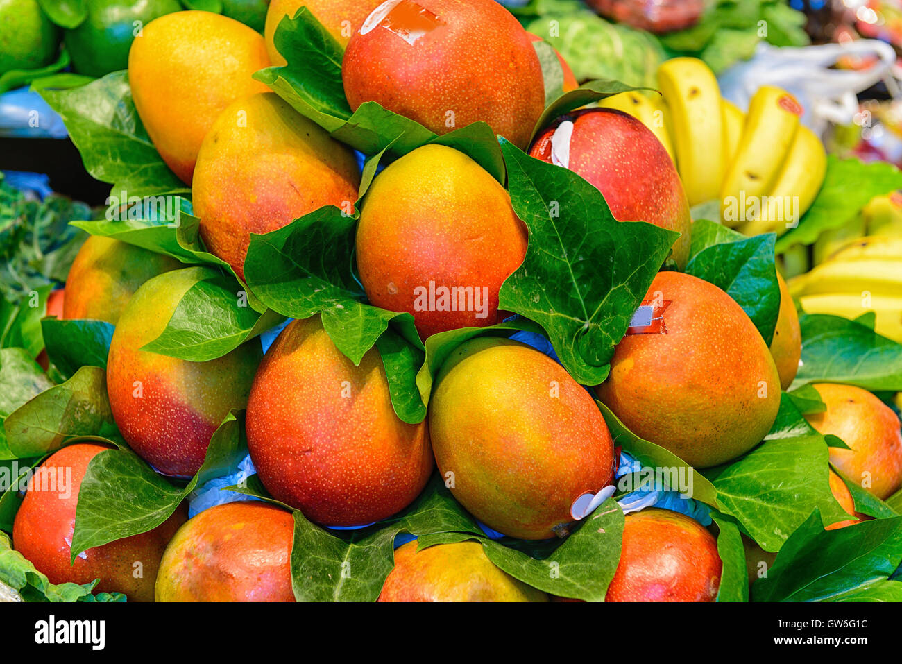 Mango Obst an Boqueria-Markt in Barcelona. Stockfoto