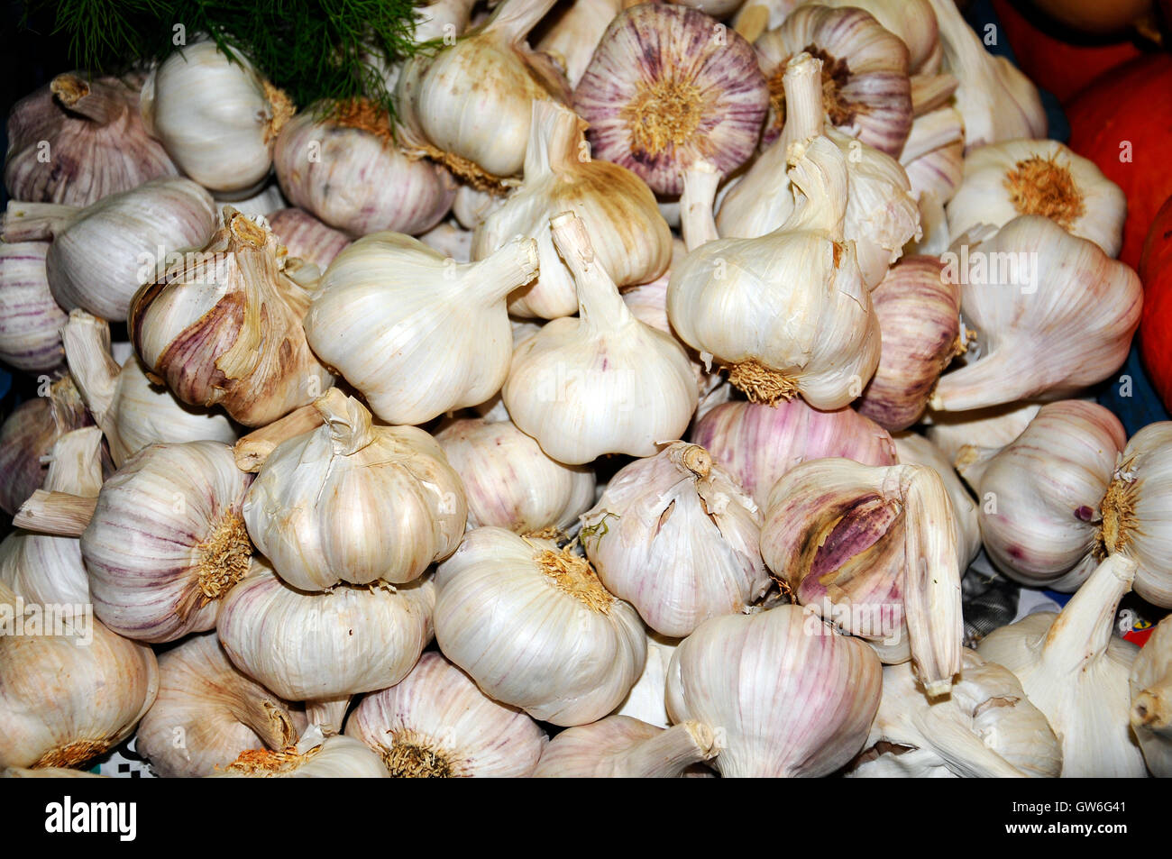 hausgemachtes Knoblauch Stockfoto