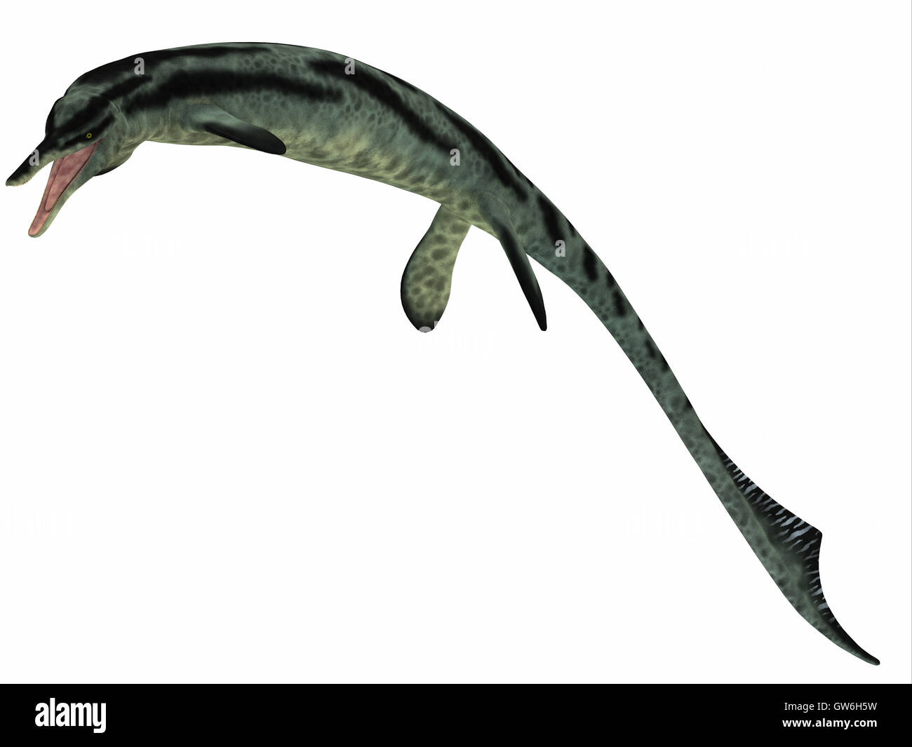 Cymbospondylus Ichthyosaurier-Profil Stockfoto