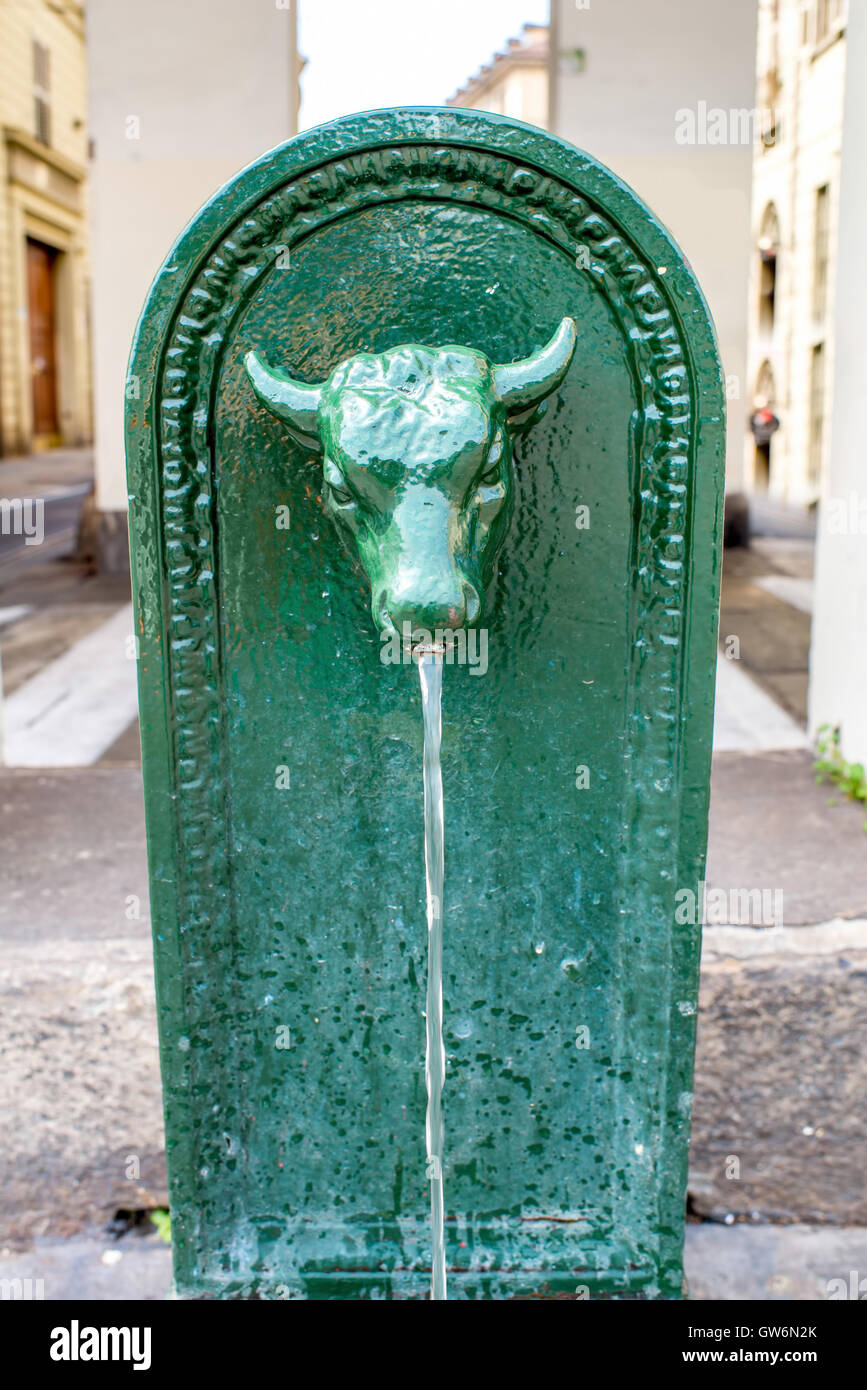 Brunnen in Turin Stadt Stockfoto
