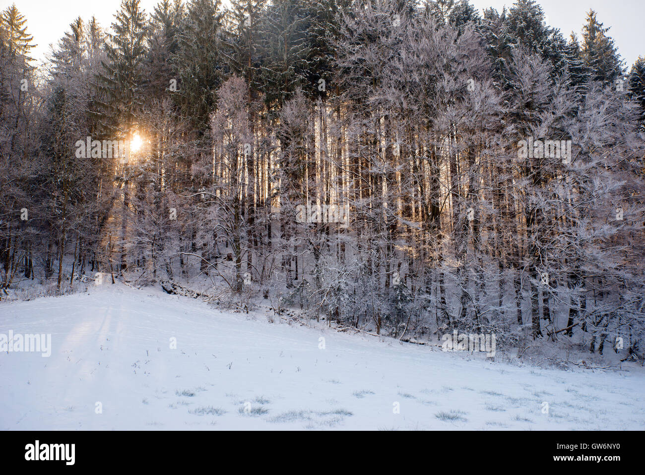 Verschneiten Tuhinj Tal, Slowenien Stockfoto