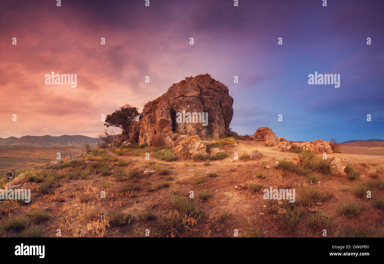 Baum wächst aus dem Felsen in der Wüste auf dem Hintergrund der schönen Sonnenuntergang Himmel. Panorama-Landschaft. Bunte Landschaft mit Stockfoto