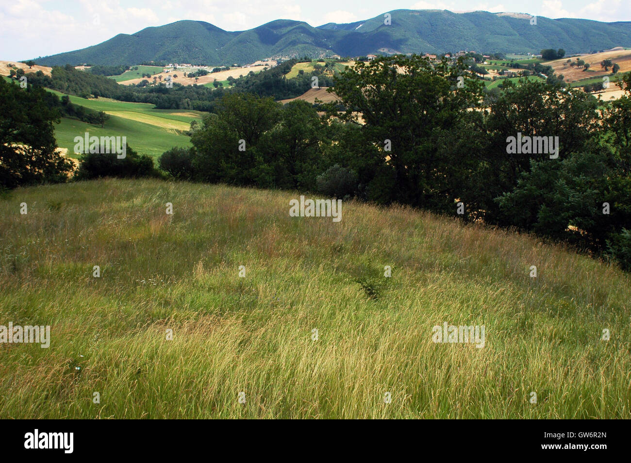 Marken-Landschaft in der Nähe von Cingoli, Italien Stockfoto