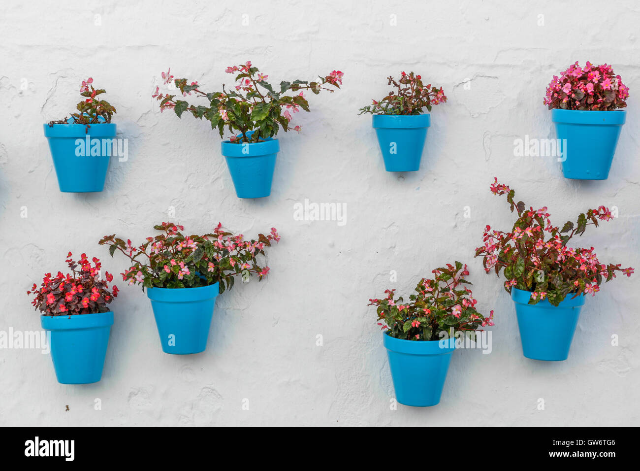 Blauer Blumentopf mit Blumen auf weiße Wand in Mijas Stockfoto