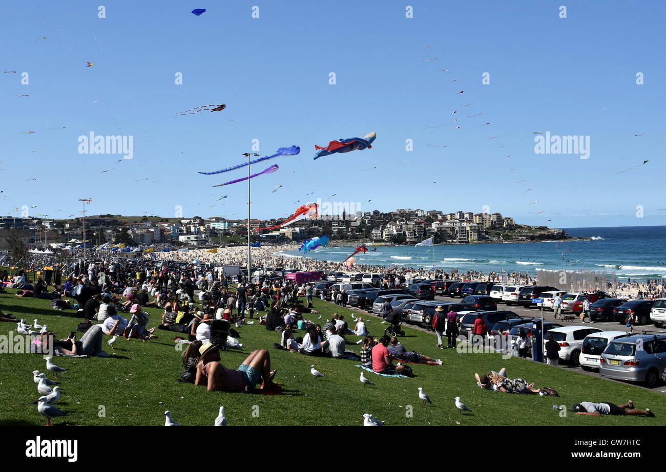 Bondi Beach, Sydney, Australien - 11. September 2016. Drachenflieger und Touristen besuchen das jährliche Drachenfliegen Festival am Bondi Beach, Stockfoto