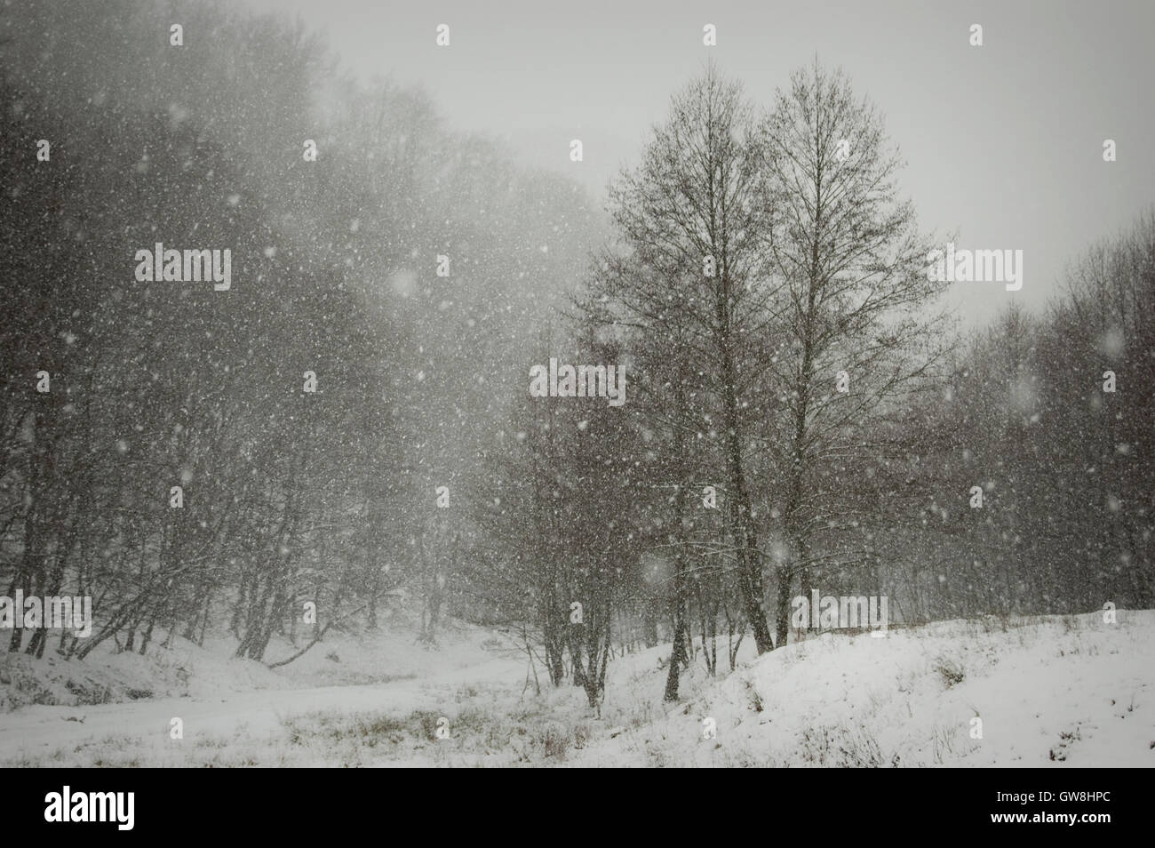 Schneefall Winterlandschaft Stockfoto