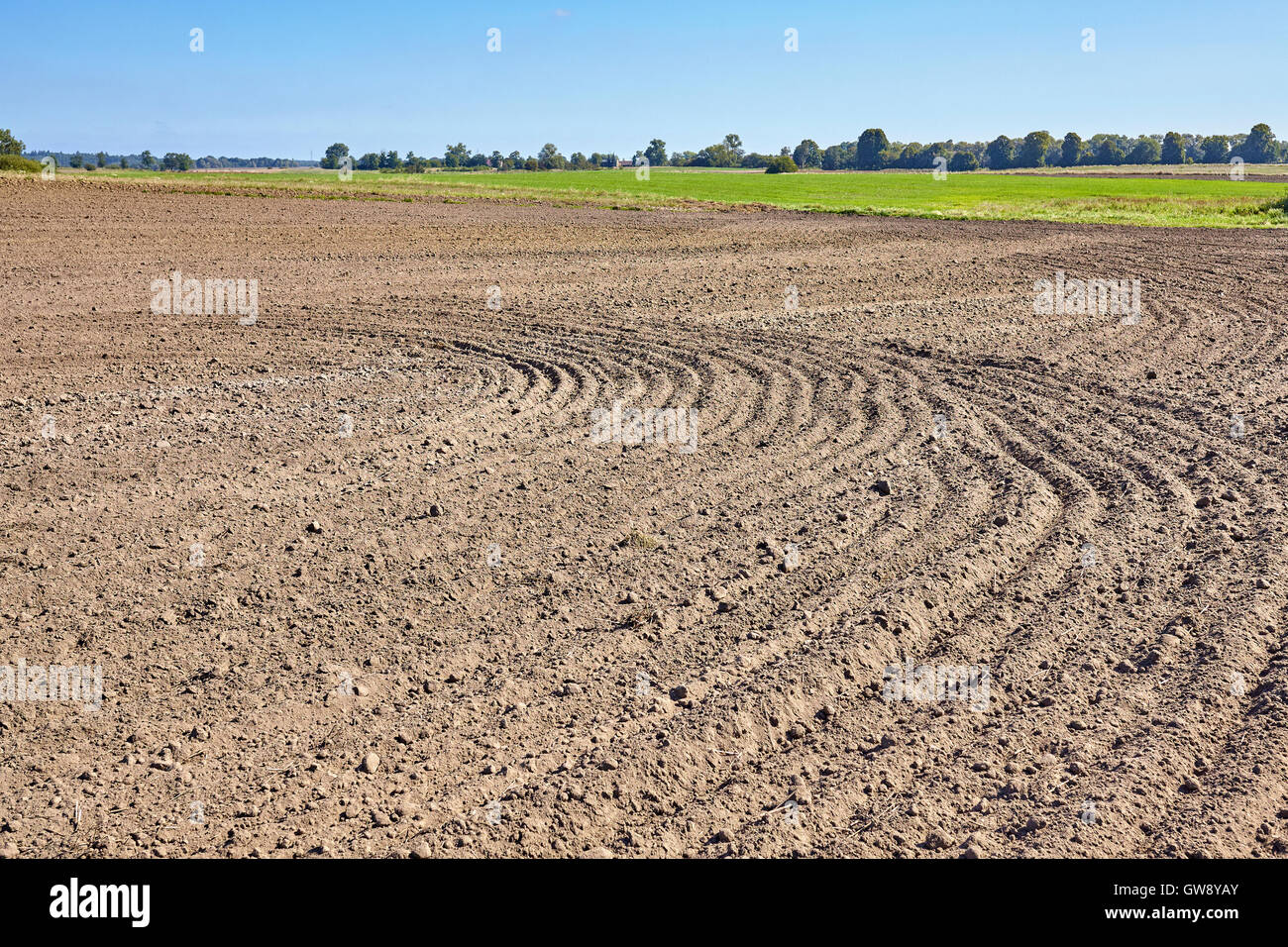 Landwirtschaftlichen gepflügtes Feld im Sommer bei blauem Himmel. Stockfoto