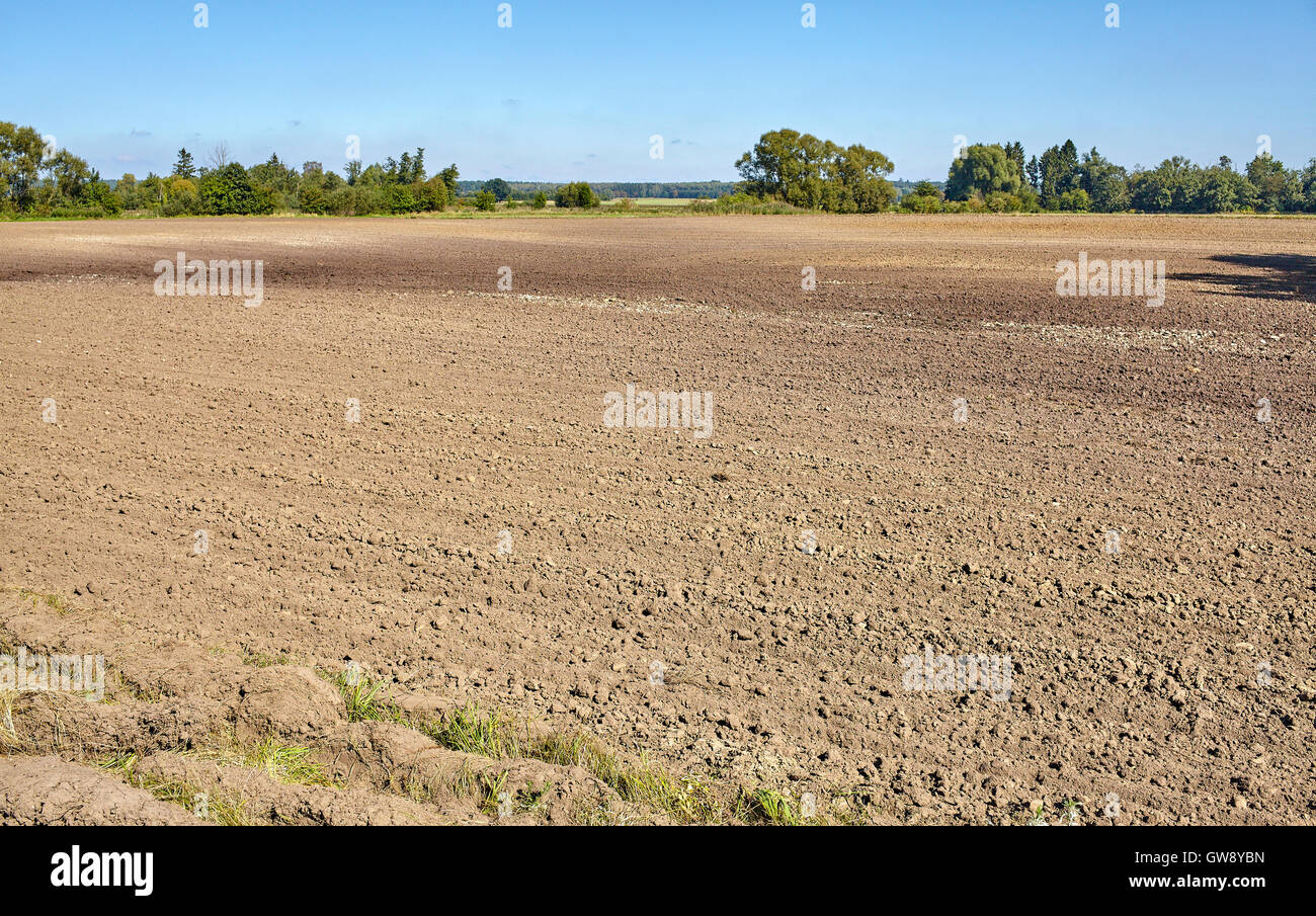 Landwirtschaftlichen gepflügtes Feld im Sommer bei blauem Himmel. Stockfoto