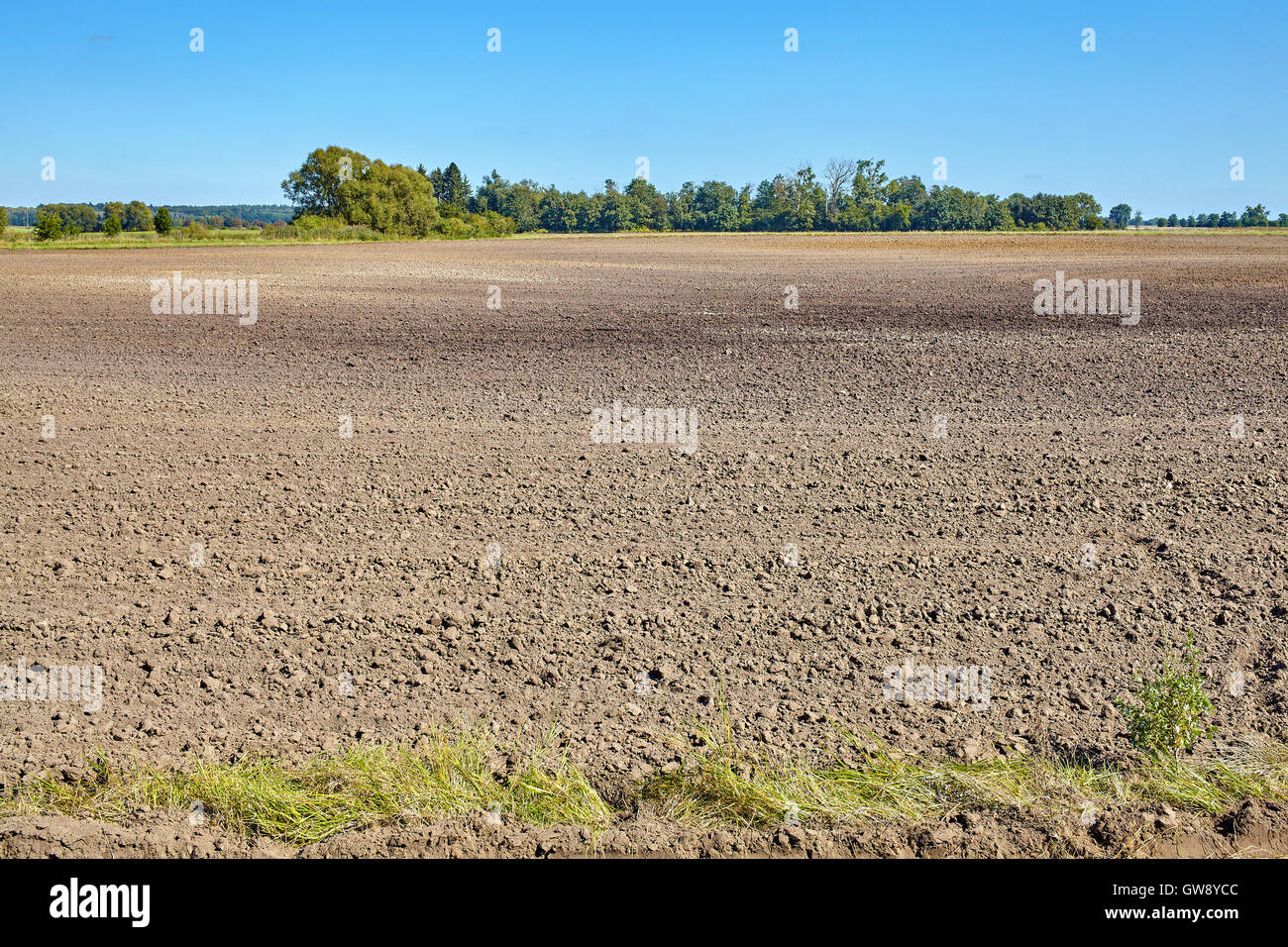 Landwirtschaftlichen gepflügtes Feld im Sommer bei blauem Himmel. Stockfoto