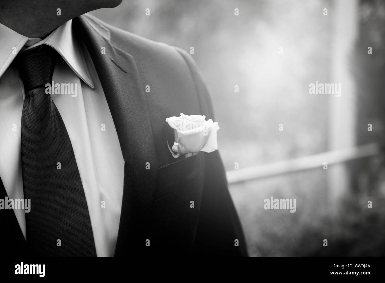Nahaufnahme der elegante Mann mit schwarzen Blazer, weißes Hemd und schwarze Krawatte. Eine weiße rose in der Tasche. Stockfoto