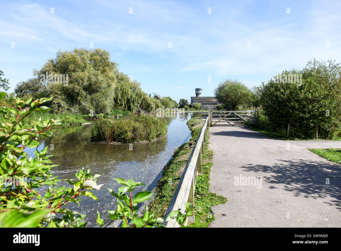 Die Sloane Severn Trent Observatory Tower im Vertrauen Slimbridge Wildfowl und Feuchtgebiete Wetland Centre, Slimbridge, Gloustershire Stockfoto