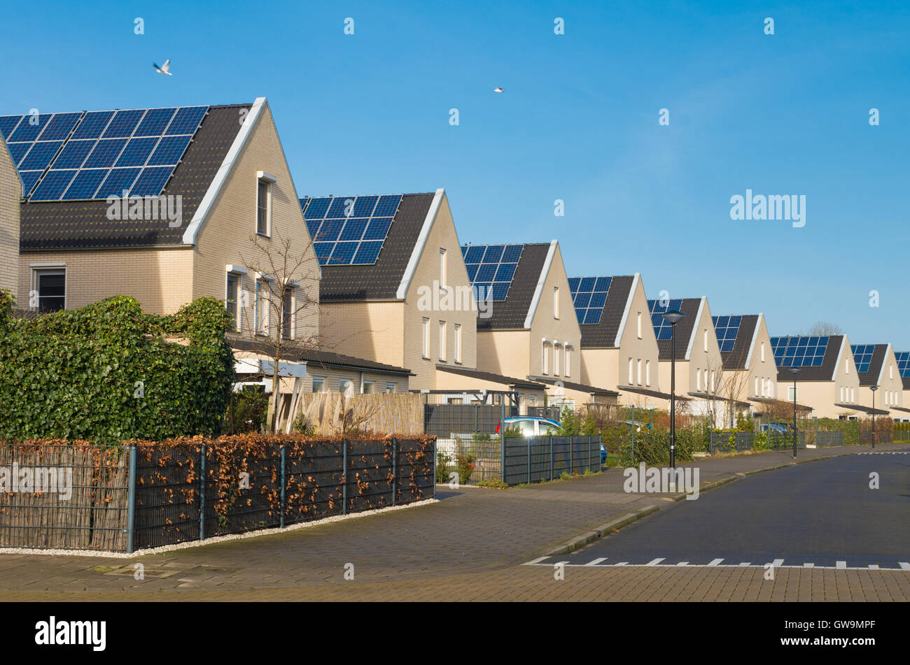 neu bauen moderne Häuserzeile mit Sonnenkollektoren in den Niederlanden Stockfoto