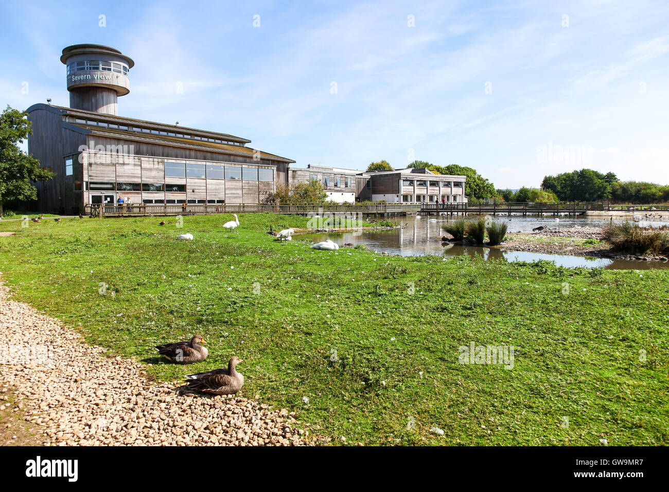 Die Sloane Severn Trent Observatory Tower im Vertrauen Slimbridge Wildfowl und Feuchtgebiete Wetland Centre, Slimbridge, Gloustershire Stockfoto