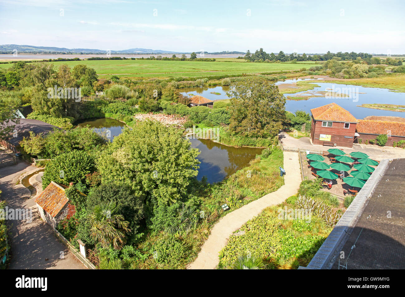 Ansicht von der Oberseite der Informationsstelle Turm über die Feuchtgebiete im Vertrauen Slimbridge Wildfowl und Feuchtgebiete Wetland Centre, Gloustershire, England Stockfoto