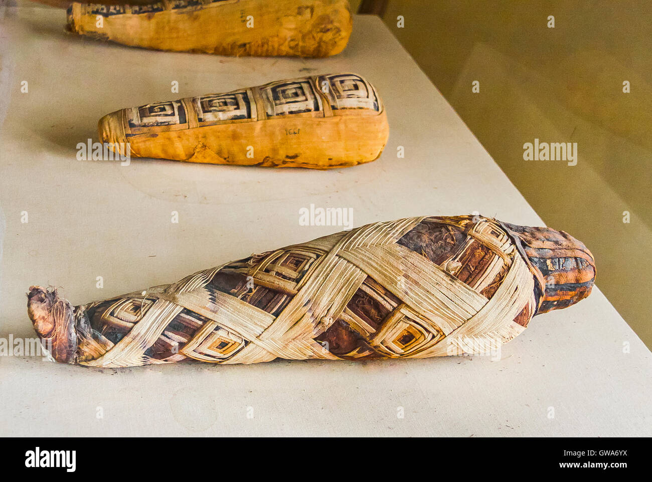 Ägypten,, Museum Mallawi Fotos im Jahr 2009 vor den Plünderungen im Jahr 2013. Ibis Mumien. Stockfoto