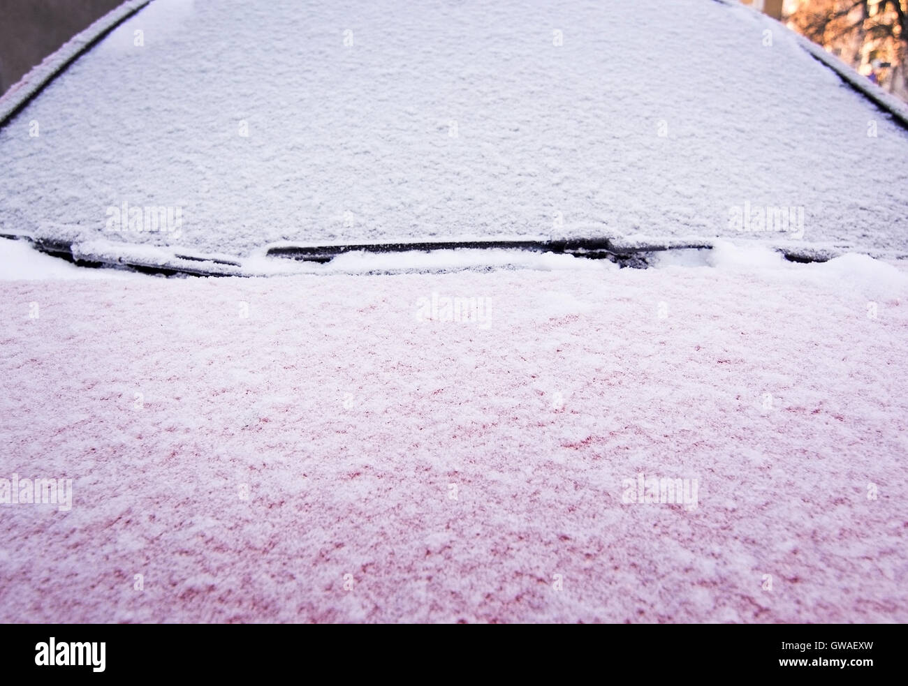 Schnee und Eis bedeckt rotes Auto und Fenster außerhalb im Dezember Closeup. Stockfoto