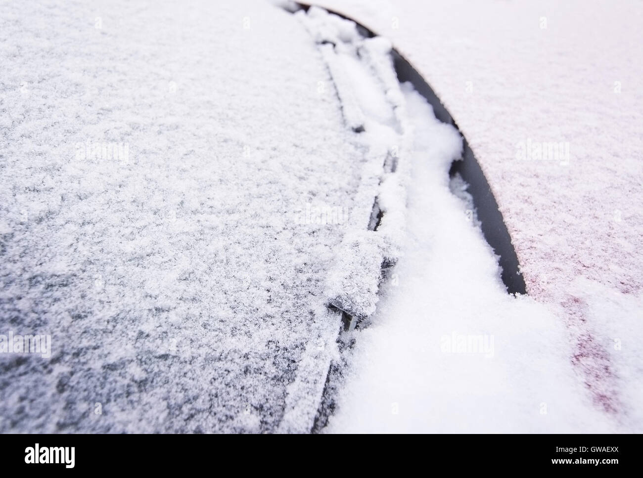 Schnee und Eis bedeckt rotes Auto und Fenster außerhalb im Dezember Closeup. Stockfoto
