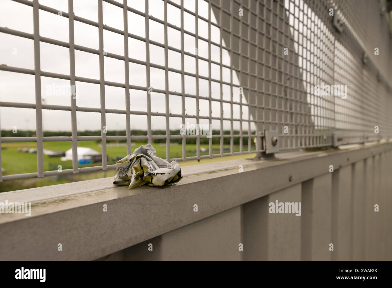 Wurf auf einer Brücke Stockfoto