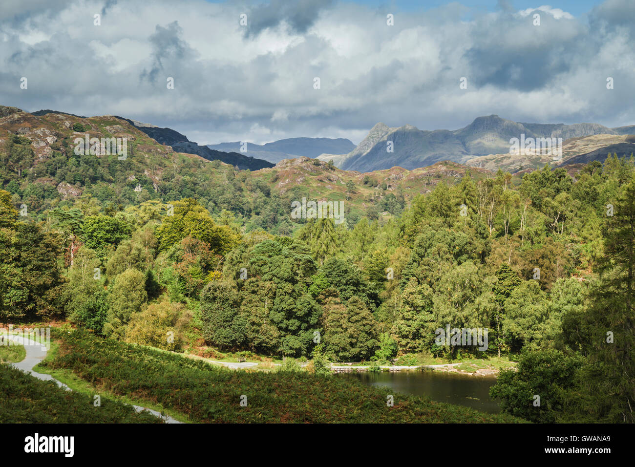 Malerische Aussicht auf Tarn Hows in englischen Lake District, Cumbria, England. Stockfoto